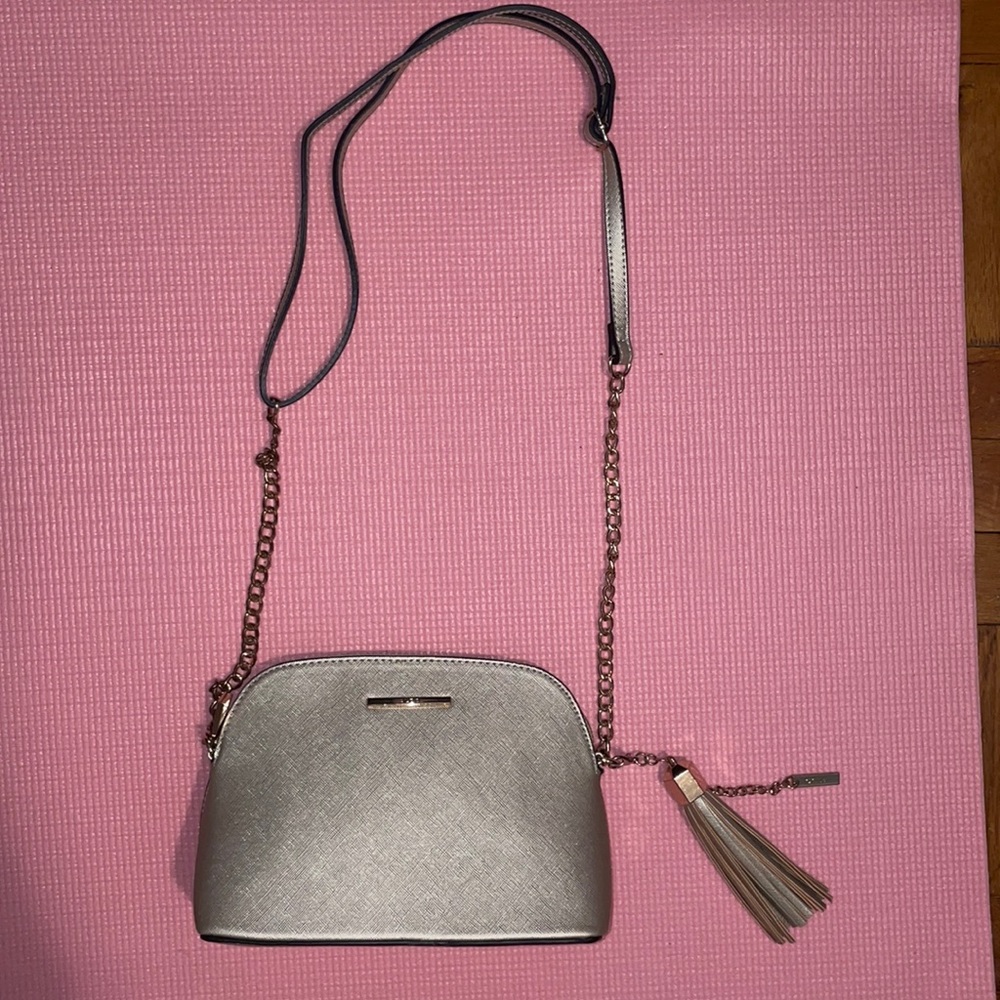 Aldo Gold Chrome Purse 👜